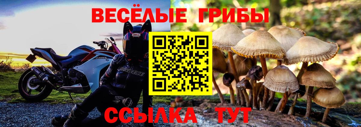 Галлюциногенные грибы Cubensis  Вход с VPN  Печора 